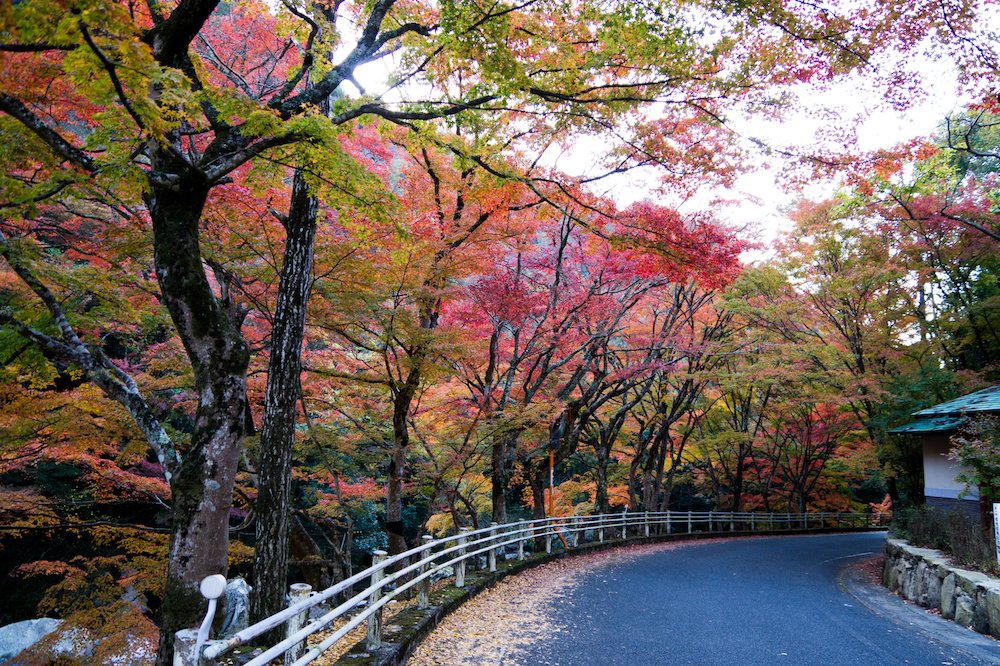 🏞️ 호쾌한 계곡(고케이) 이미지 7